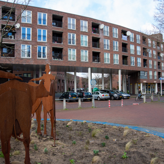 foto van Centrum, Voorstad en Rivierenwijk